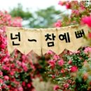 스톰케어