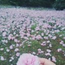태초요가원