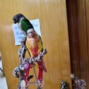 인천조류원 이미지