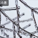 성정고시원