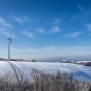 은신목장 이미지