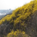 응봉초등학교(운동장)