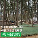 자신만만 가정요리 A반 | 가족과 함께하기 좋은 태안 해루질 캠핑장, 태안 노을숲캠핑장 (D10 사이트 솔직이용후기)