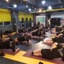 밴텀복싱 이미지