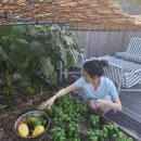 유기농라이프 이미지