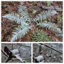 겨울나기 생태수업 이미지