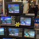 꼬리 | [천안두정동] 그을림 | 김치찌개와계란찜이기본💛(통항정살,삼겹살,돼지꼬리후기)