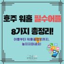 [호주워홀] 워홀 시작 전에 알면 무조건 도움 되는 호주 생활 필수어플 추천