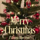 부천-중동-부천-12 이미지