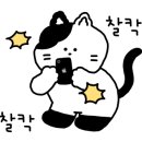 위미그라스