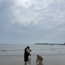 범양목장 이미지