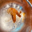 삼선주유소 개방화장실 이미지