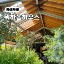 괴산 뭐하농하우스 아이들과 가볼 만한 건강한 카페