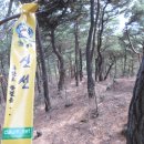 동막농장 이미지