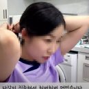 정자 반려견 이미지