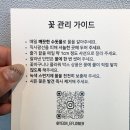 연이플라워 이미지