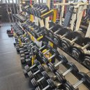 임팩트 화원점 이미지