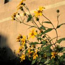 기쁨소아청소년과의원 이미지