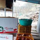 꿈의농장 이미지