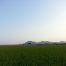 일품식당 이미지