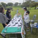 청소년오케스트라 연주회 | 🌿 JEJU ECO SYMPHONY 바람의 빛깔 — 구좌청소년오케스트라 제10회 정기연주회 후기 🎶