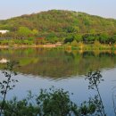 서호공원 이미지