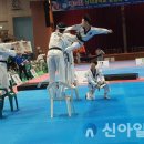 제철태권도 이미지