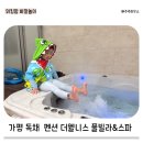 가평 독채 풀빌라 더웰니스 풀빌라&amp;스파 수영장 부대시설