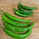 대농퇴비 | 유기농산물)흑토마토/완숙토마토/대추토마토/오이고추/깻잎/양파