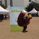 밤톨이 마을 이미지