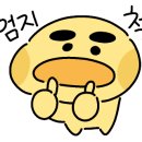 동남제화