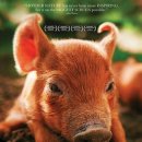 작은농장 이미지