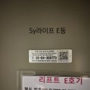 에스와이라이프