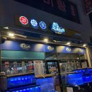 도시어부장현지점 | 시흥능곡역 횟집 도시어부 능곡장현점 갑오징어회 먹었어요