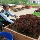 연남동 주민센터 이미지