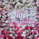 장미마을 이미지