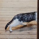 돼청마루 이미지