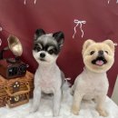 피부야 놀자 이미지