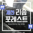 백운면 2535[15-10] | 제천 포레스트리솜 G50 빌라 클린1실 후기 가격 객실 구조 체크인 전동카 총정리