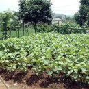 갯벌농장 이미지