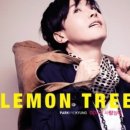 레몬트리 이미지