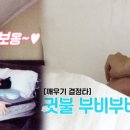 달콤한부부