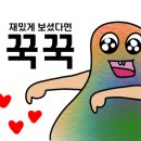 손톱하는고양이