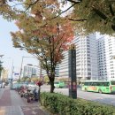 가락시장역7번출구 이미지