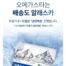 스타케어 | [리뷰] 내돈내산 혈행 건강 챙기기! 나우케어 오메가스타 솔직 후기 (어취 없는 rTG 오메가3 추천)