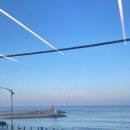 어달항 | [동해 여행] 겨울 바다의 정석, 묵호 어달항과 오션뷰 '카페 한결' 힐링 후기