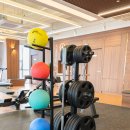 마스터 와이짐 이미지