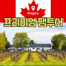 나이아가라 프리미엄 팸투어 후기 와이너리편