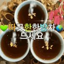 짱다방 Daum카페
