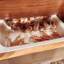 강남 스테이 호텔 이미지